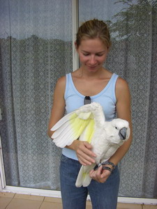 Caro avec Bounty le cacatos